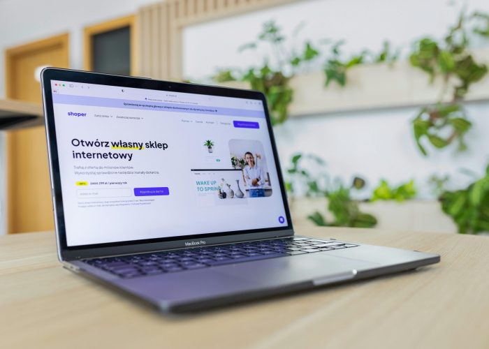 pexels-shoper-pl-550490863-16675632 pexels-shoper-pl-550490863-16675632